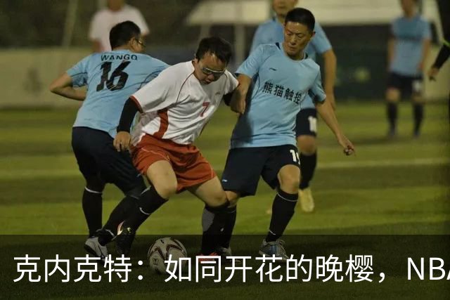 克内克特：如同开花的晚樱，NBA之旅或将迎来颠覆
